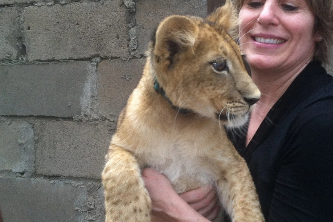 TZ-Portfolio-Lion Cub